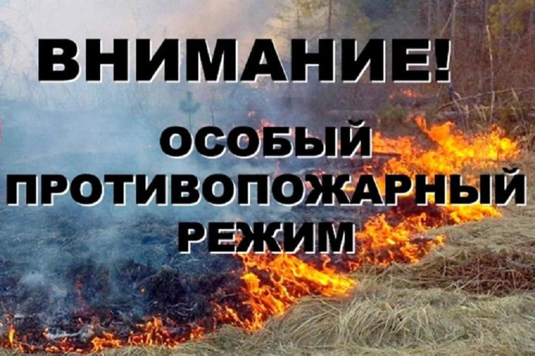 Особый противопожарный режим введен постановлением правительства Воронежской области №224 от 25.03.2025 года &quot;Об установлении особого противопожарного режима на территории Воронежской области&quot;.
