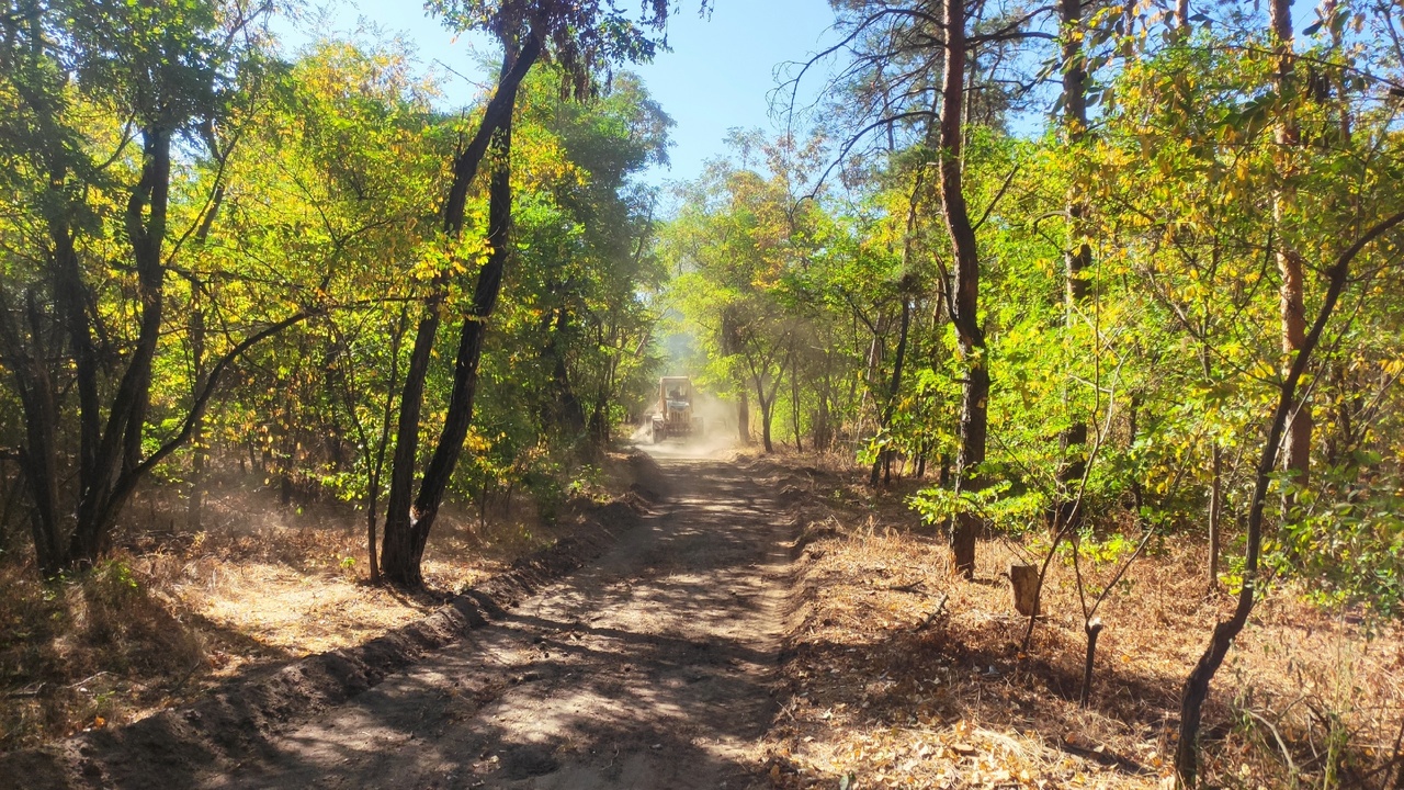 Тропа здоровья.