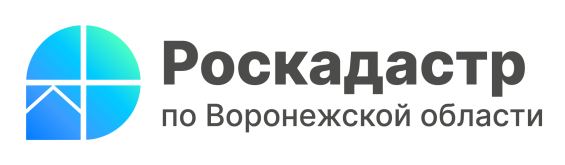 Роскадастр.