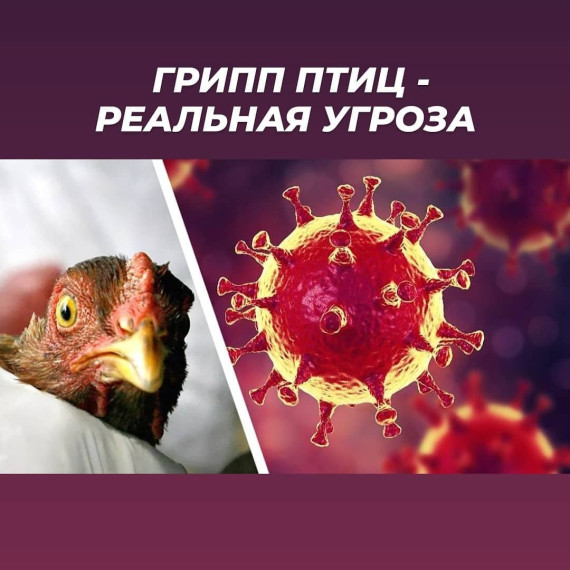 Внимание!. Внимание!.