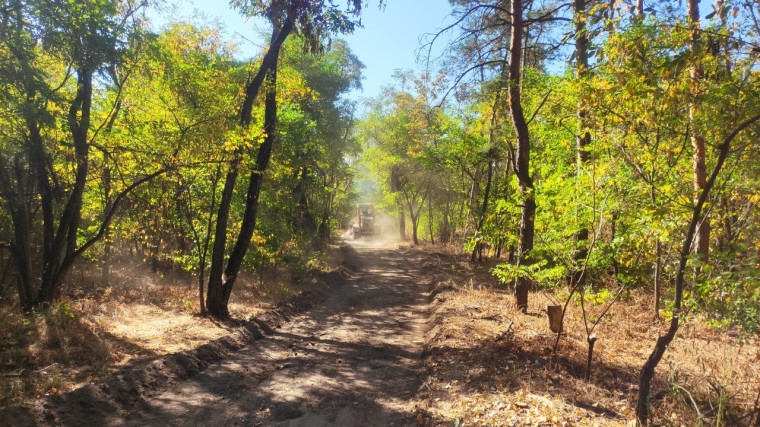 Тропа здоровья. Тропа здоровья.