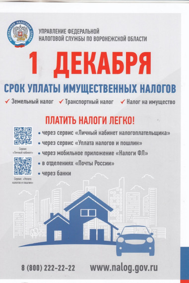 Не забудьте своевременно уплатить имущественные налоги!. Не забудьте своевременно уплатить имущественные налоги!.